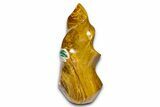 Colorful Polished Jasper Flame - Madagascar #383886-1